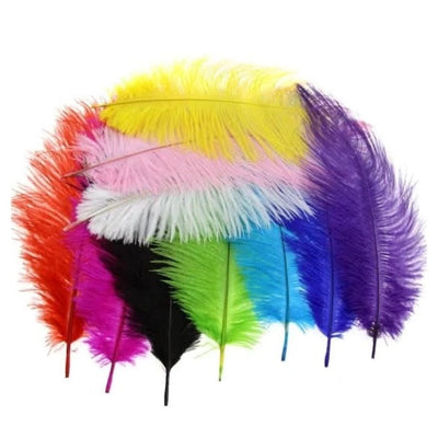 Coloured Feather - Fauve + Co