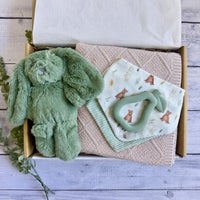 Aster Baby Gift Box