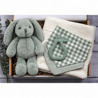 Aster Baby Gift Box (PRE-ORDER ETA 6/10)