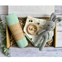 Bailey Baby Gift Box