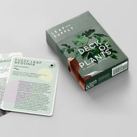 Olive Delight Gift Box