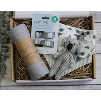 Hudson Baby Gift Box