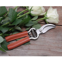 Veggie Delight Gift Box