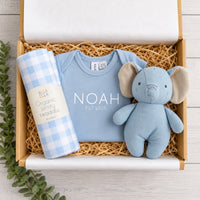 Levi Baby Gift Box