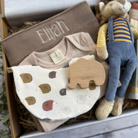 Noah Baby Gift Box