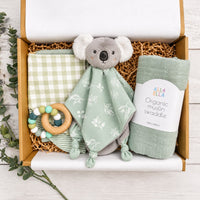 Spring Baby Gift Box