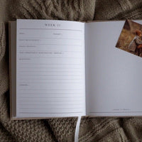 Bump - A Pregnancy Story Journal - Fauve + Co