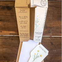 Chamomile Gift of Seeds Packet by Sow n' Sow - Fauve + Co
