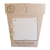 Chamomile Gift of Seeds Packet by Sow n' Sow - Fauve + Co