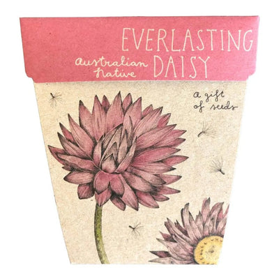 Everlasting Daisy Gift of Seeds Packet by Sow n' Sow - Fauve + Co