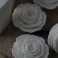 Flowers & Roses Mum Gift Box - Fauve + Co